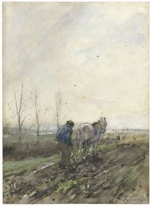 Lavrador