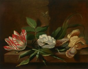 Uma tulipa de papagaio, uma rosa, uma íris e insectos sobre uma mesa de madeira