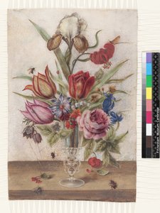 Cálice de vidro veneziano contendo tulipas, rosas, anêmonas, genciana, fritillary, varigat íris, lilium chalcedonicum maybug, may-fly, lírio-do-vale e primula