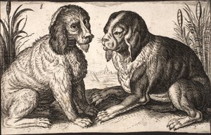Dois cães à beira do lago de Jacob Matham