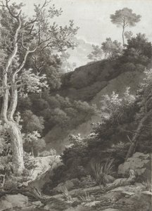 Ladeira florestal de montanha de Jacob Philipp Hackert