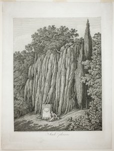 Salgueiro-chorão de Jacob Philipp Hackert