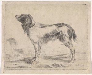 Cão de pé
Cães (título da série)