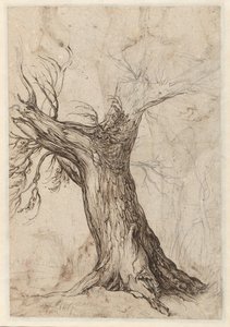 Castanheiro com algumas árvores à sua volta de Jacob de Gheyn (II)