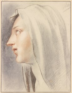 Cabeça de mulher com véu, de perfil para a esquerda de Jacob de Wit