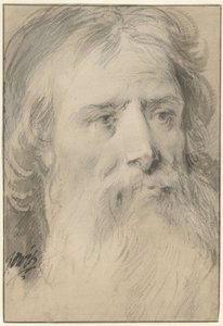 Cabeça de homem com barba grande de Jacob de Wit