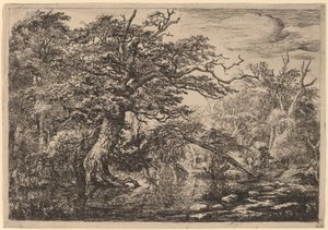 Um pântano florestal com viajantes em um banco (Os viajantes) de Jacob van Ruisdael
