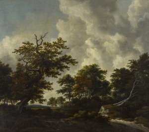 Paisagem de bosque com um grande carvalho e duas faias caídas junto a uma cascata de Jacob van Ruisdael
