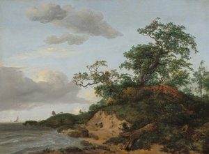 Dunas à beira-mar, 1648. de Jacob van Ruisdael