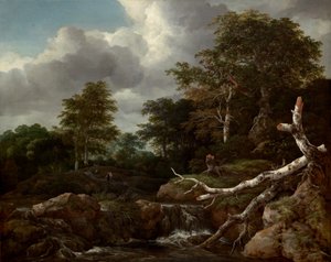 Cena da floresta, c. 1655. de Jacob van Ruisdael