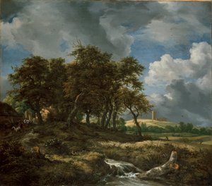 Paisagem perto de Muiderberg, início da década de 1650 de Jacob van Ruisdael