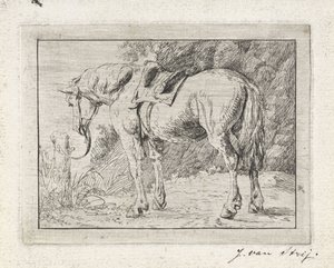 Cavalo selado amarrado a um poste