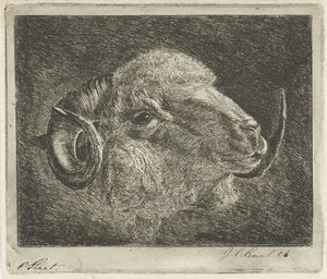 Cabeça de um carneiro com chifres voltados para trás de Jacobus Cornelis Gaal (signed by artist)