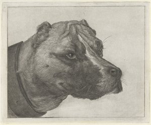 Cabeça de cachorro com coleira de Jacobus Cornelis Gaal