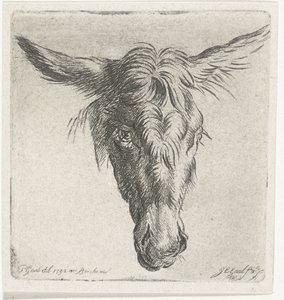 Cabeça de burro de Jacobus Cornelis Gaal