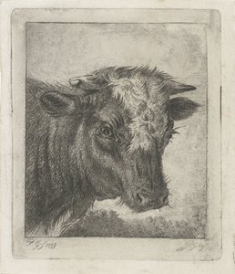 Cabeça de uma vaca com colo branco de Jacobus Cornelis Gaal
