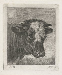 Cabeça de uma vaca com colo branco de Jacobus Cornelis Gaal
