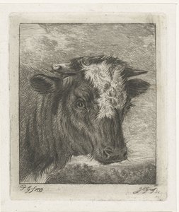 Cabeça de uma vaca com colo branco de Jacobus Cornelis Gaal