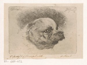 Cabeça de um pug de Jacobus Cornelis Gaal