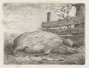 Javali deitado de Jacobus Cornelis Gaal