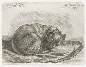 Cão dormindo, deitado em um cobertor de Jacobus Cornelis Gaal