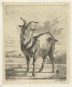 cabra em pé de Jacobus Cornelis Gaal