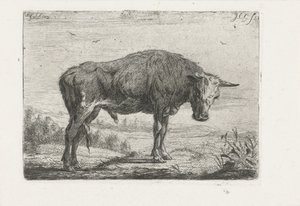 Touro em pé de Jacobus Cornelis Gaal