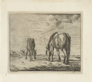 Dois cavalos pastando de Jacobus Cornelis Gaal