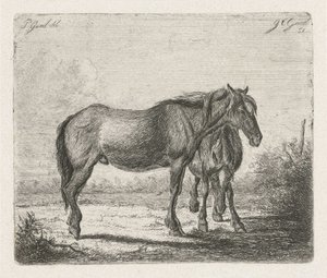 Dois cavalos de Jacobus Cornelis Gaal