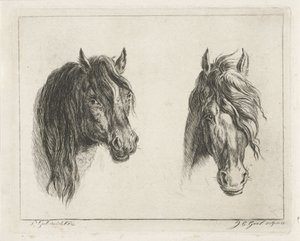 Duas cabeças de cavalo de Jacobus Cornelis Gaal