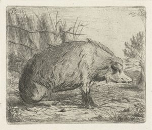 Javali selvagem sentado de Jacobus Cornelis Gaal
