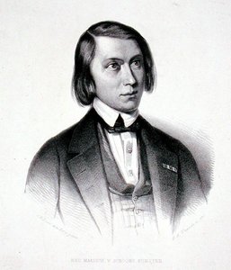 Retrato de Josephus Hermanus Verhulst (1816-91) (gravura) de Jacobus Everardus Josephus van den (after) Berg