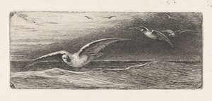 Seagulls de Jacobus Hermanus Otterbeek