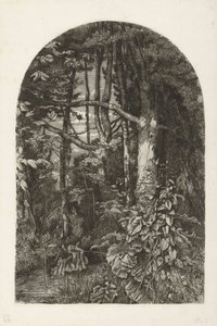 Floresta com riacho de Jacobus Ludovicus Cornet