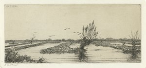 Lago de Turfa