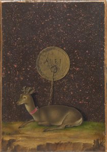 Retrato de Alvise Contarini(); (verso) Um Roebuck amarrado