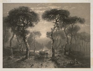 Obras de A. Calame, nº 13: Floresta de Sierre em Valais de Jacomme and Cie. R. de Lancry, 12, Paris
