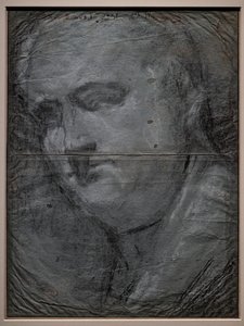 Retrato de Vitellio Grimani de Jacopo (1510 92) Bassano