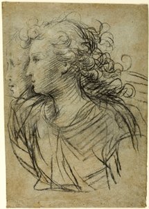 Visão de Meia Comprimento da Mulher de Perfil à Esquerda (reto); Visão de meio comprimento da figura em perfil de três quartos (verso) de Jacopo Confortini