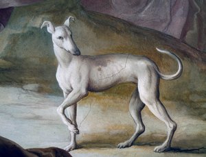 Cão, detalhe do fresco de Jacopo Guarana (1720-1808), hall central de Villa Contarini, Valnogaredo, Veneto, Itália