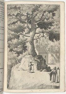 Faia com o sino (Faggio della campana) [placa X] de Jacopo Ligozzi