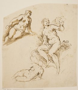 Estudos para uma mulher sentada e duas prostradas de Jacopo Palma