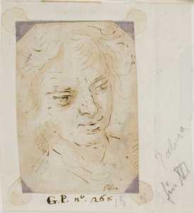 Cabeça de um homem de Jacopo Palma il Giovane