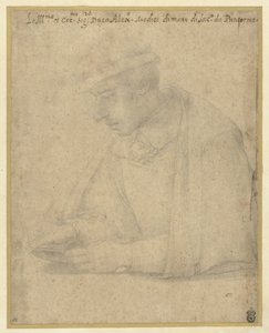 Alessandro de Medici de Jacopo Pontormo