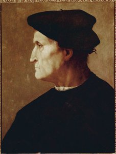 Retrato do perfil de Francesco da Castiglione de Jacopo Pontormo