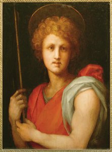 São João Batista (pintura sobre tela) de Jacopo Pontormo