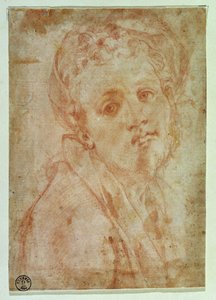 Auto-retrato (giz vermelho sobre papel) de Jacopo Pontormo