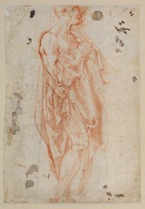 Estudo para São Jerônimo de Jacopo Pontormo