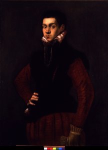 Retrato de um jovem, c.1565 (óleo sobre tela) de Jacopo Robusti Tintoretto