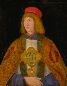 Albrecht de Brandenburgo de Jacopo de